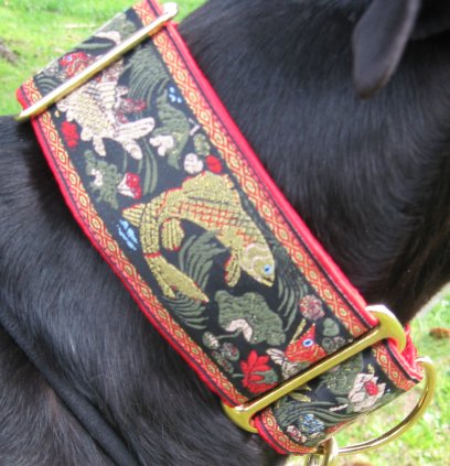 Koi Pond collar on Theo