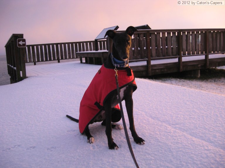 Theo at the Lewis and Clark Interpretive Site