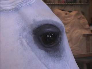 Cassandra's eye