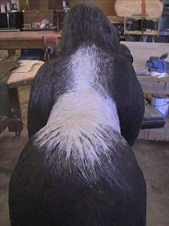 Overall Silverback Pattern